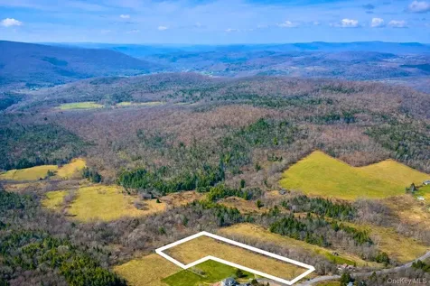 Hog Mountain Fleischmanns NY 12430
