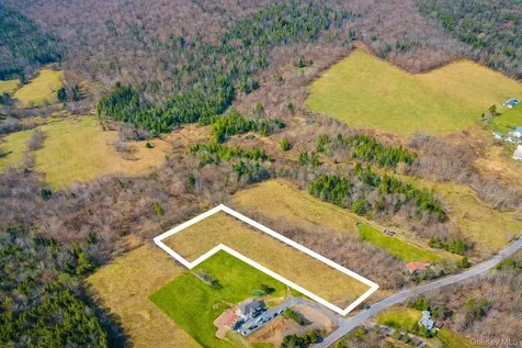 Hog Mountain Fleischmanns NY 12430