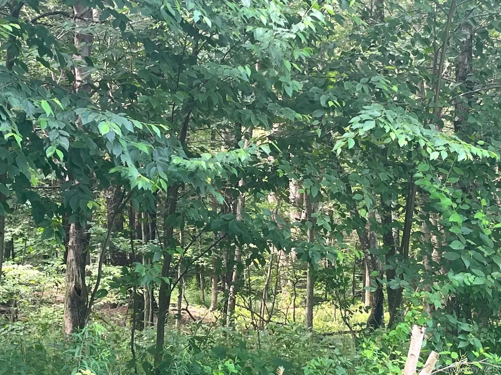 Mount Ross Road Pine Plains NY 12567
