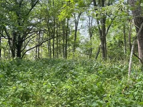 Mount Ross Road Pine Plains NY 12567