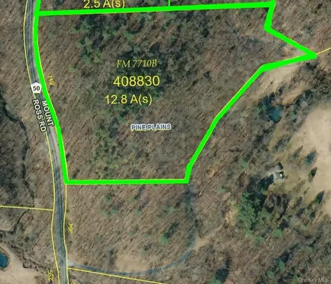 Mount Ross Road Pine Plains NY 12567