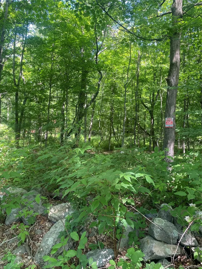 123 Meads Farm Road Stormville NY 12582