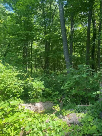 123 Meads Farm Road Stormville NY 12582