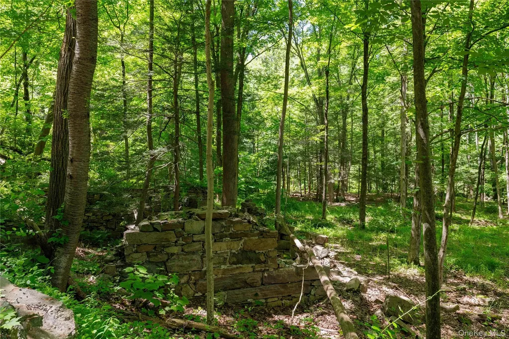 50 Mill Road Cold Spring NY 10516