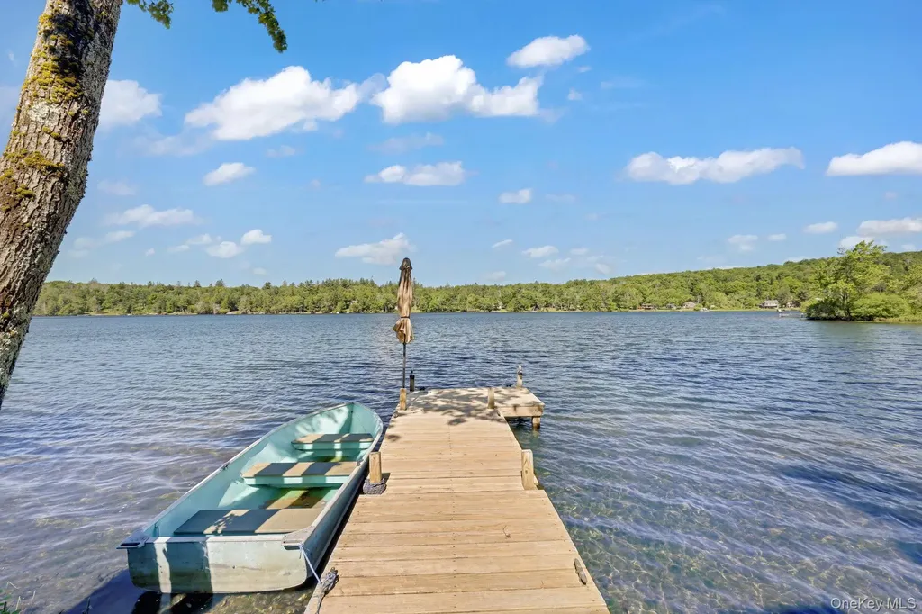 110 Park Drive Parksville NY 12768