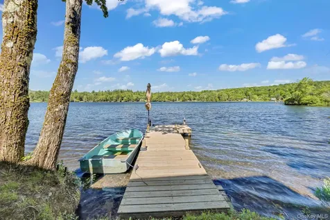 110 Park Drive Parksville NY 12768