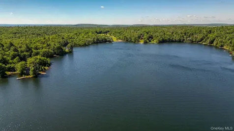 110 Park Drive Parksville NY 12768