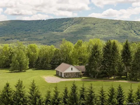 2114 Brush Ridge Road Fleischmanns NY 12430