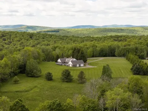 2114 Brush Ridge Road Fleischmanns NY 12430