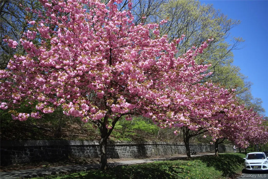 118-11 84th Avenue Kew Gardens NY 11415