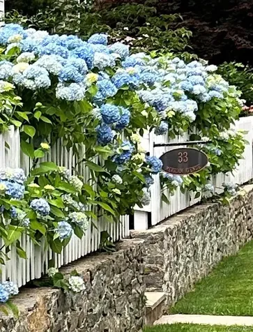 33 Merriam Avenue Bronxville NY 10708
