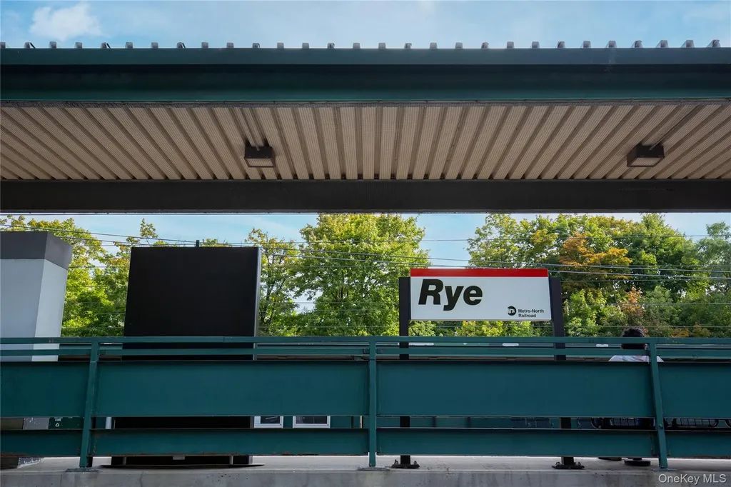 20 Mt. Holly Rye NY 10580