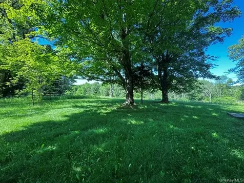 97 Cold Spring Road Stanfordville NY 12581