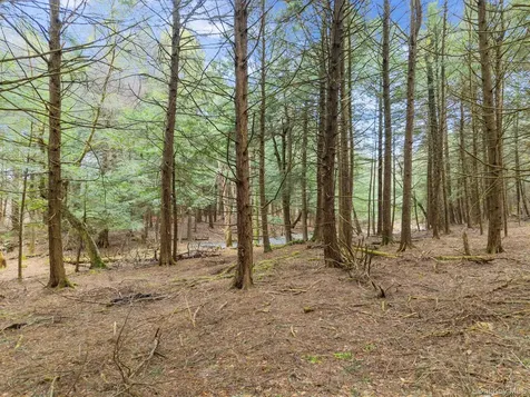 202 Blakesley Road Gilboa NY 12076