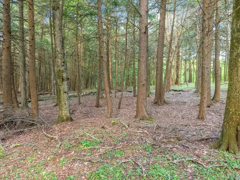 202 Blakesley Road Gilboa NY 12076