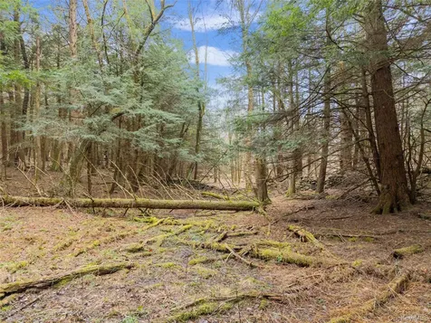 202 Blakesley Road Gilboa NY 12076
