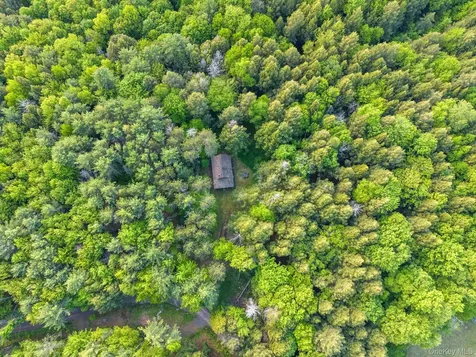 202 Blakesley Road Gilboa NY 12076