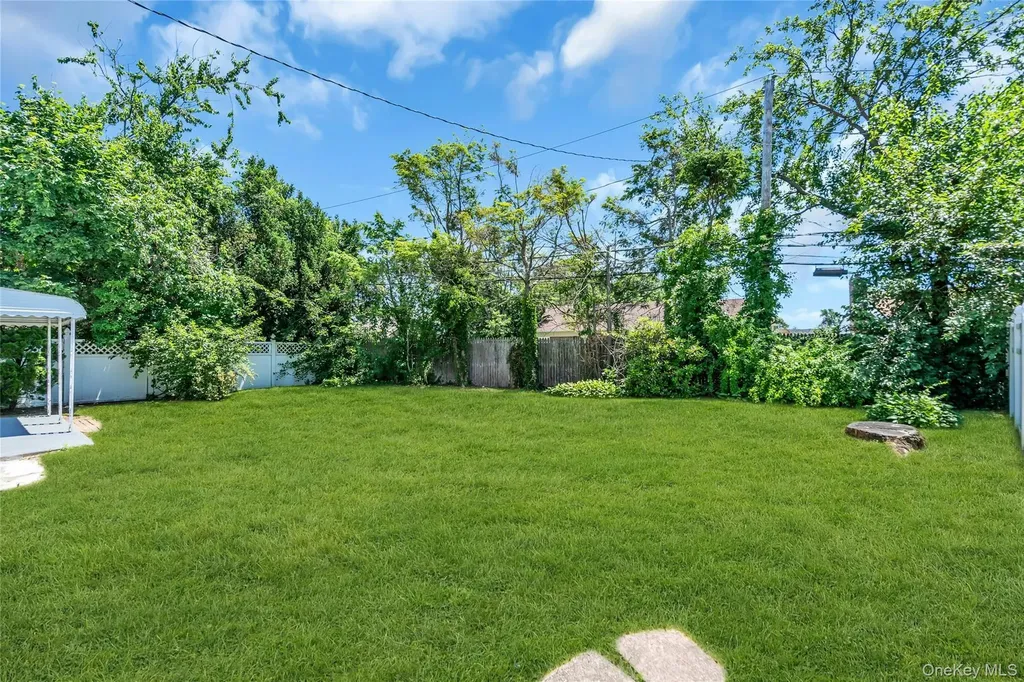 163 Emily Avenue Elmont NY 11003