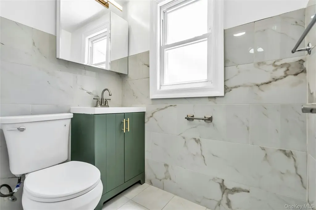 163 Emily Avenue Elmont NY 11003