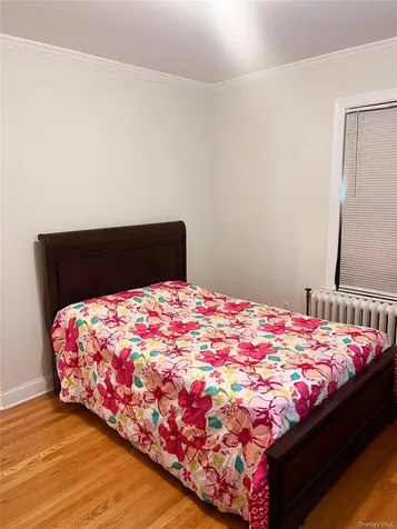 69 Treno Street New Rochelle NY 10801