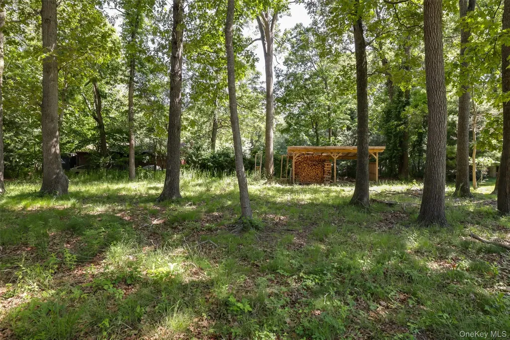 225 Old Willets Path Smithtown NY 11787