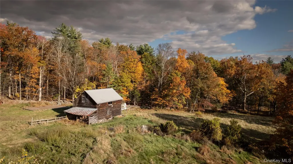 363 Beaverkill Road Olivebridge NY 12461