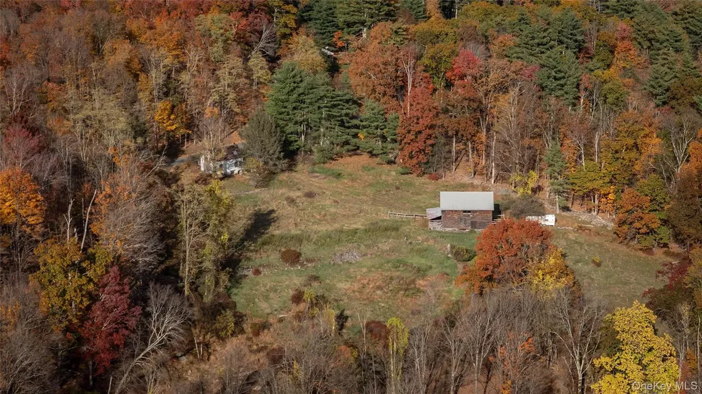 363 Beaverkill Road Olivebridge NY 12461