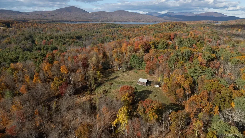 363 Beaverkill Road Olivebridge NY 12461