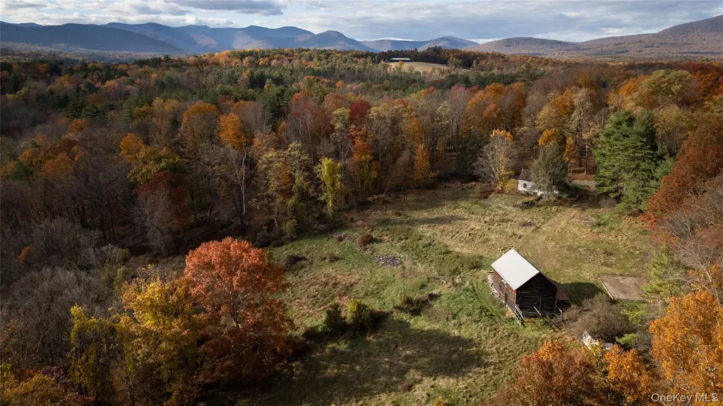 363 Beaverkill Road Olivebridge NY 12461