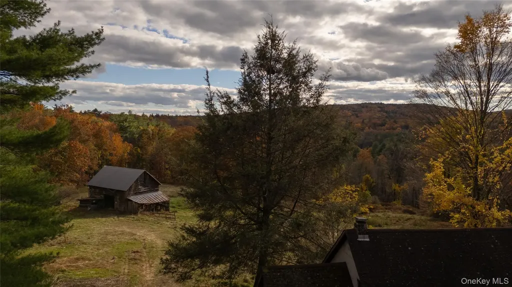 363 Beaverkill Road Olivebridge NY 12461