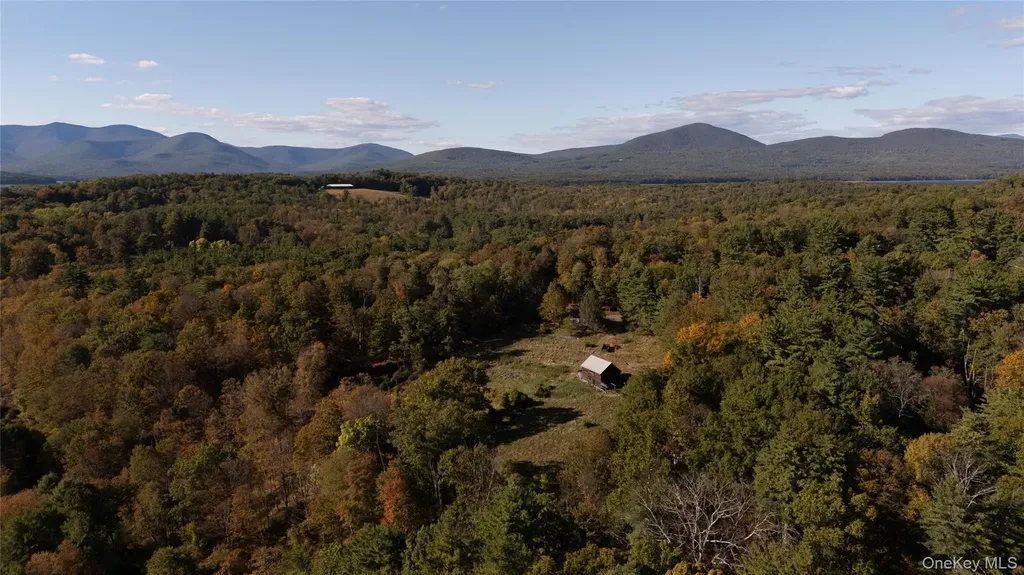 363 Beaverkill Road Olivebridge NY 12461