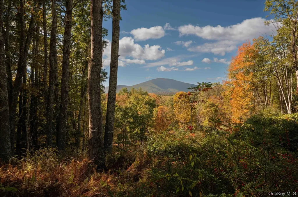 363 Beaverkill Road Olivebridge NY 12461