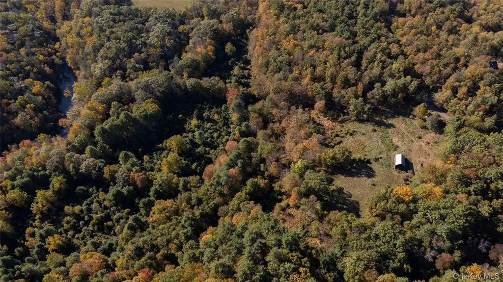 363 Beaverkill Road Olivebridge NY 12461