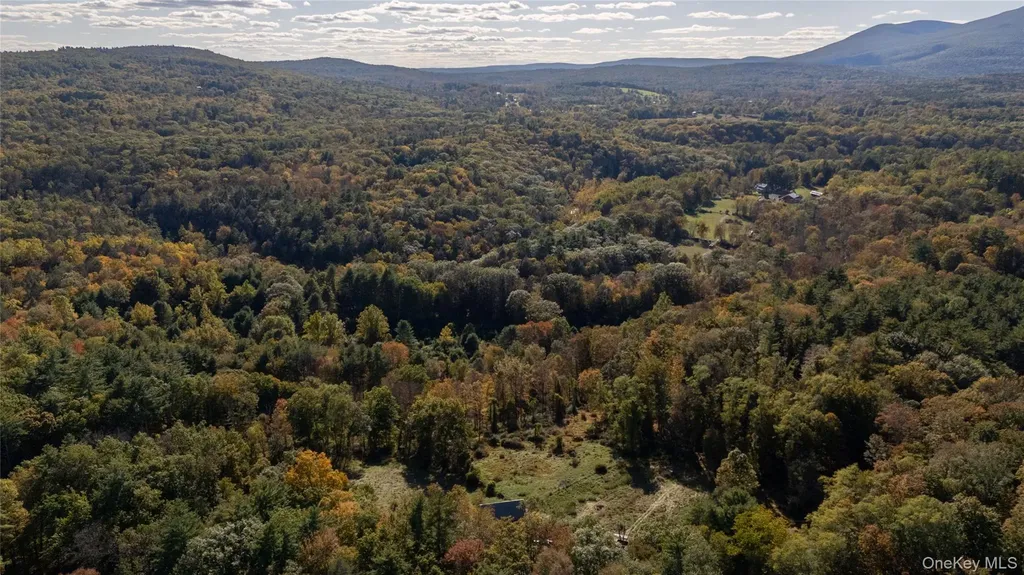 363 Beaverkill Road Olivebridge NY 12461