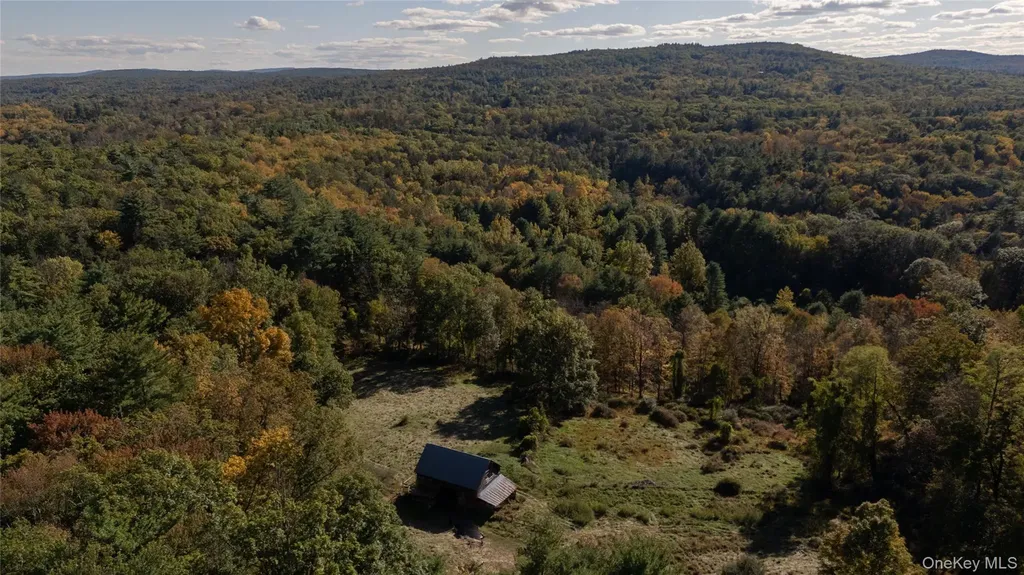 363 Beaverkill Road Olivebridge NY 12461
