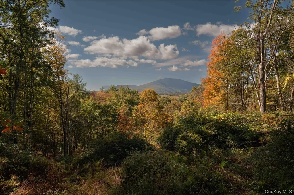 363 Beaverkill Road Olivebridge NY 12461
