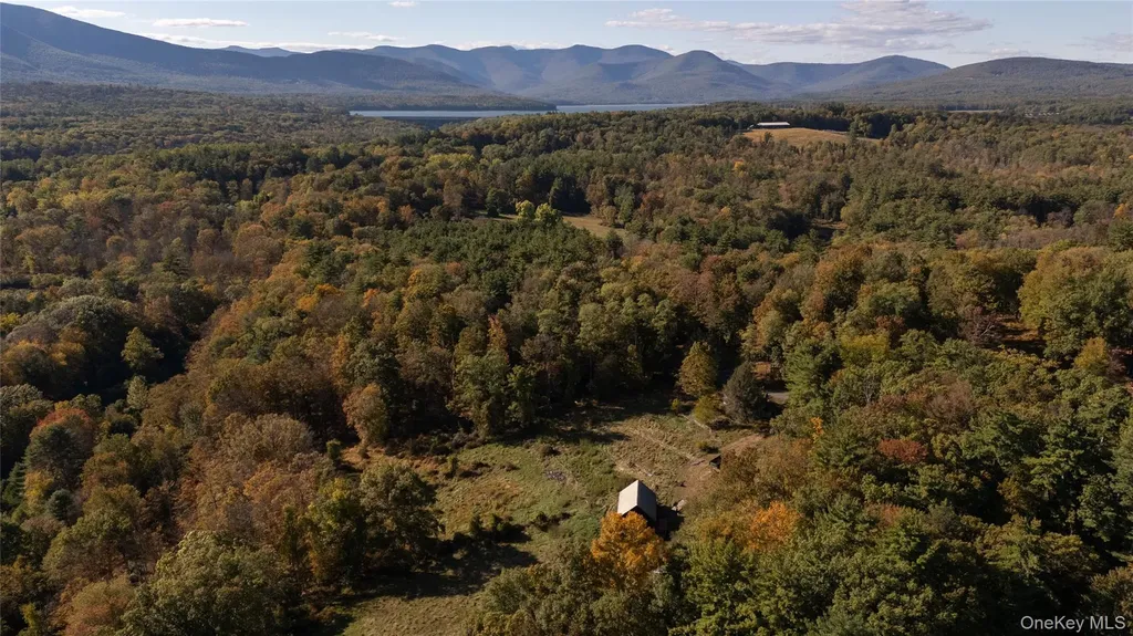 363 Beaverkill Road Olivebridge NY 12461
