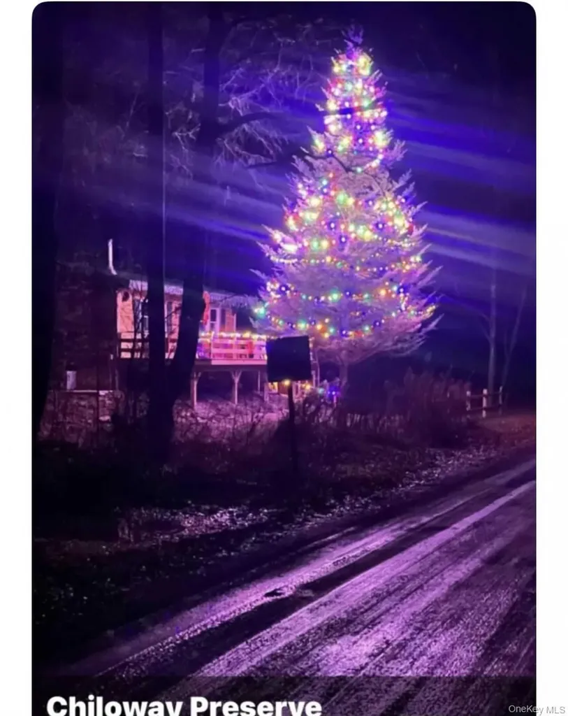 989 Chiloway Road Roscoe NY 13856