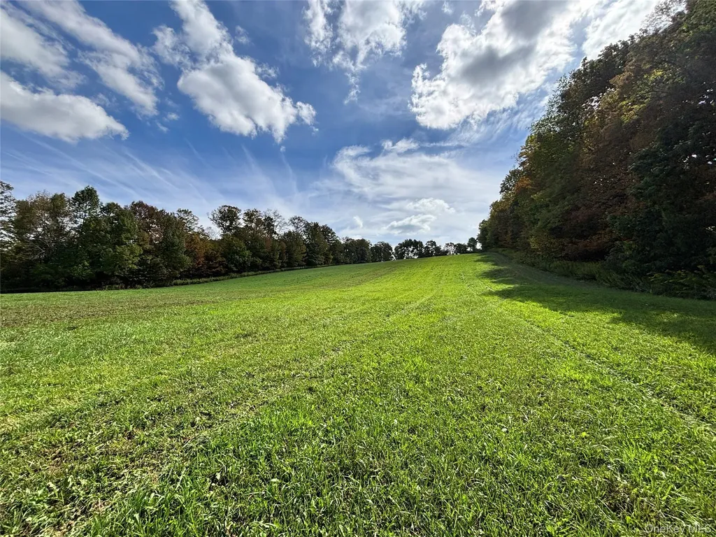 413 Middlefield Road Call Listing Agent NY 13326