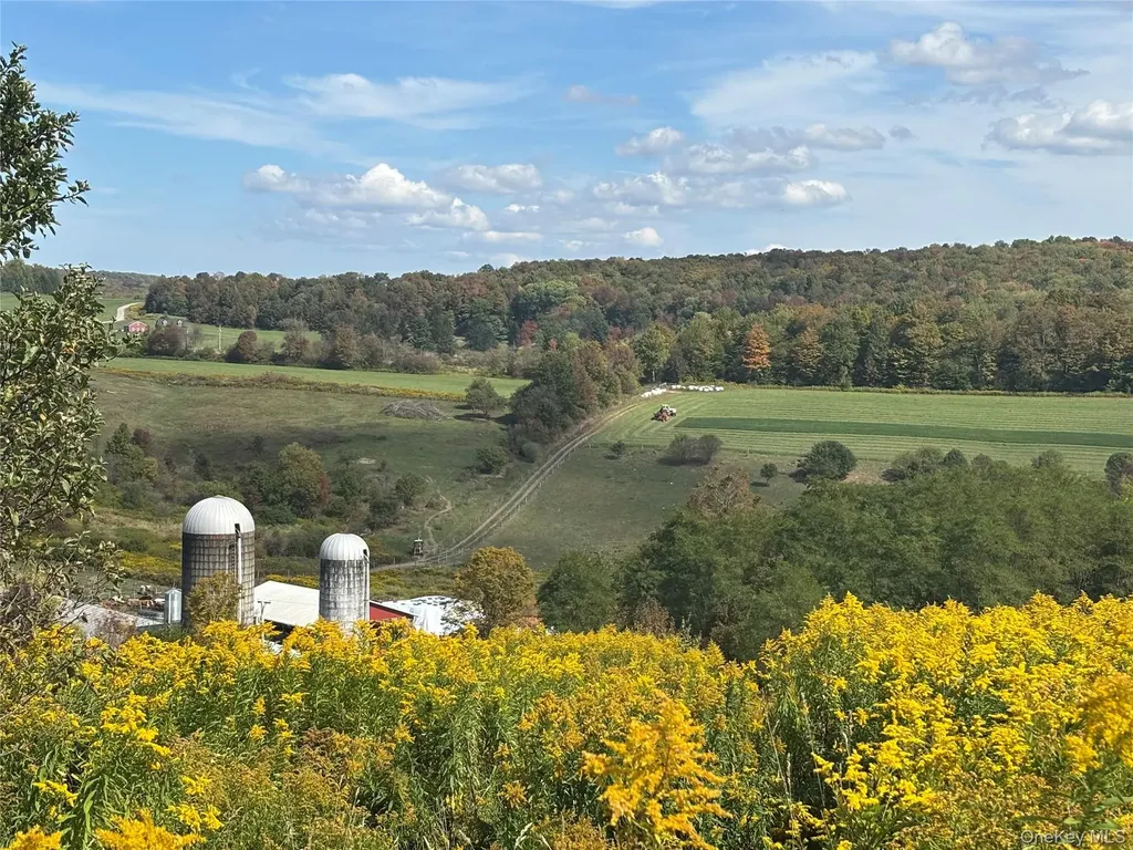 413 Middlefield Road Call Listing Agent NY 13326