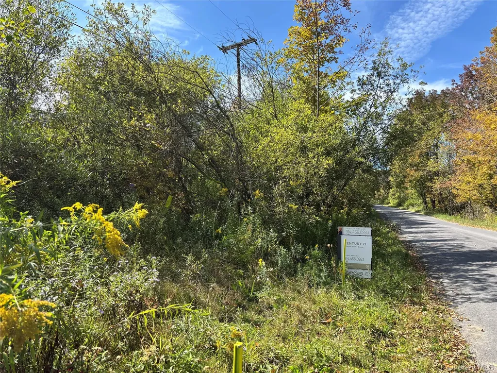 413 Middlefield Road Call Listing Agent NY 13326
