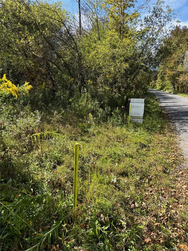 413 Middlefield Road Call Listing Agent NY 13326