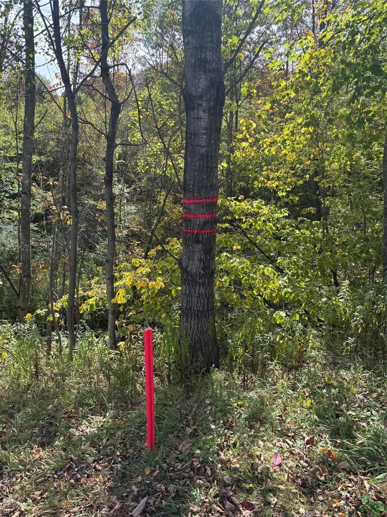 413 Middlefield Road Call Listing Agent NY 13326