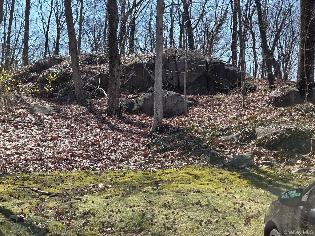 65 Rockledge Road Bronxville NY 10708