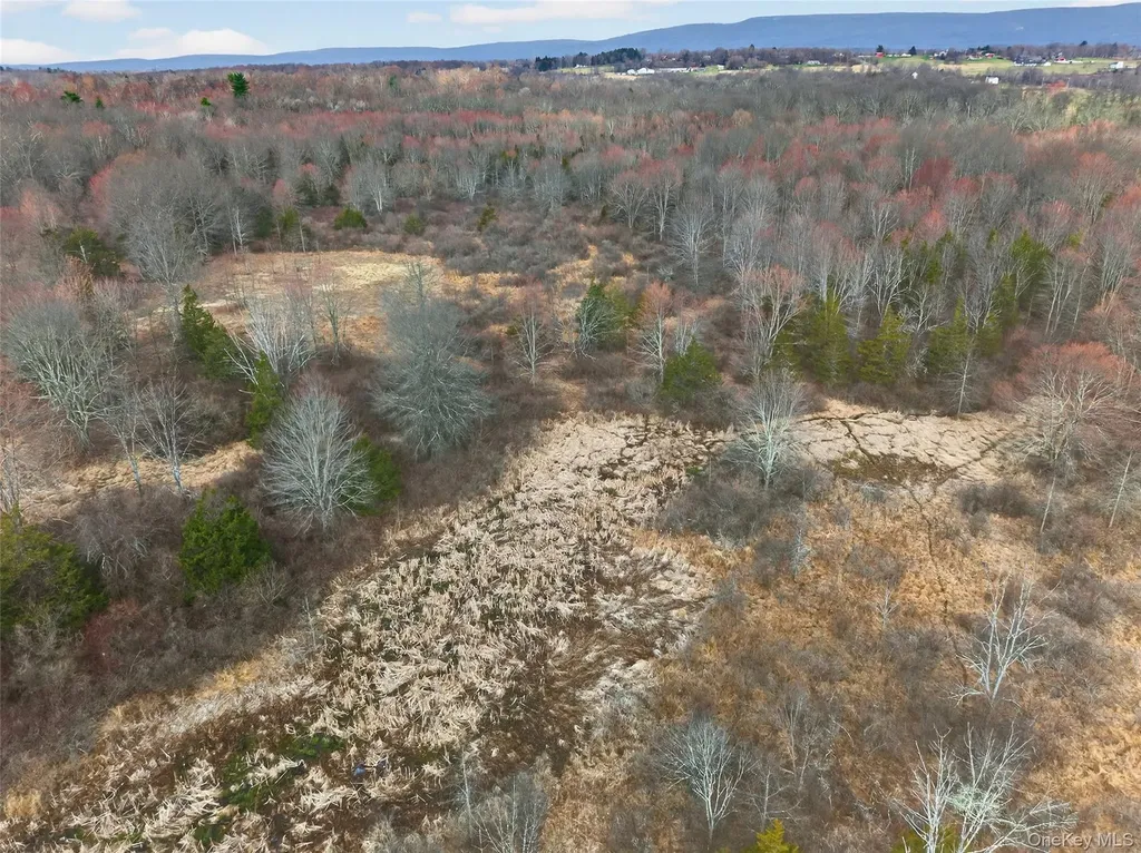 42 Wildrick Road Wallkill NY 12589