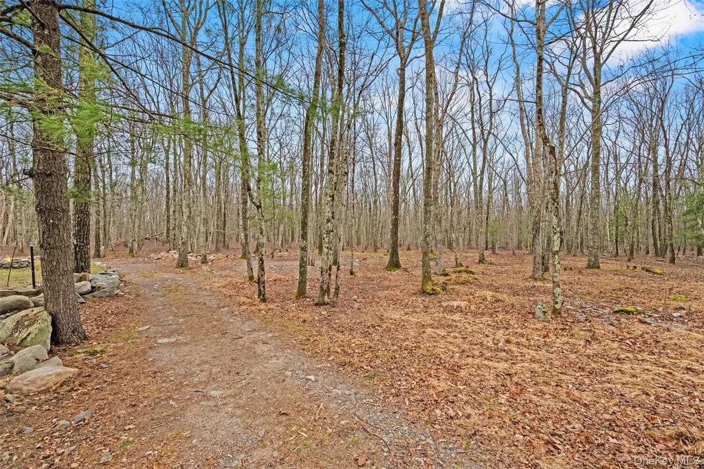 563 Peenpack Trail Sparrowbush NY 12780