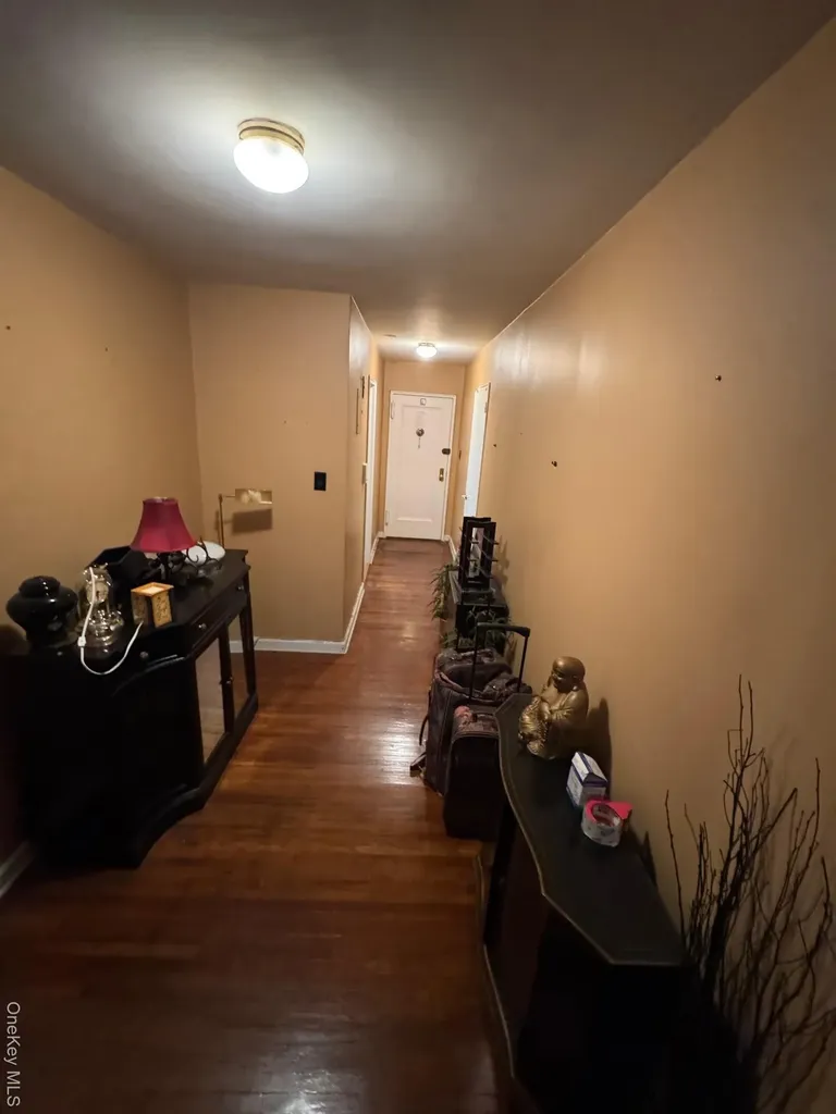 221 Mcdonald Brooklyn NY 11218