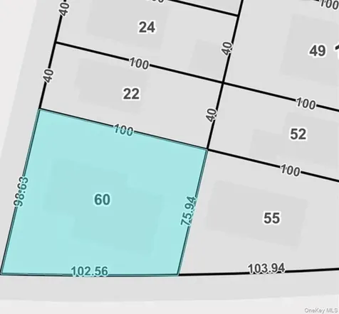 15035 116th Street South Ozone Park NY 11420
