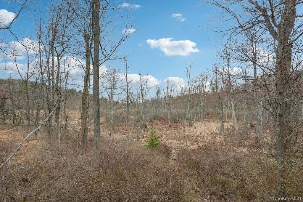 21 Old Quaker Hill Road Monroe NY 10950