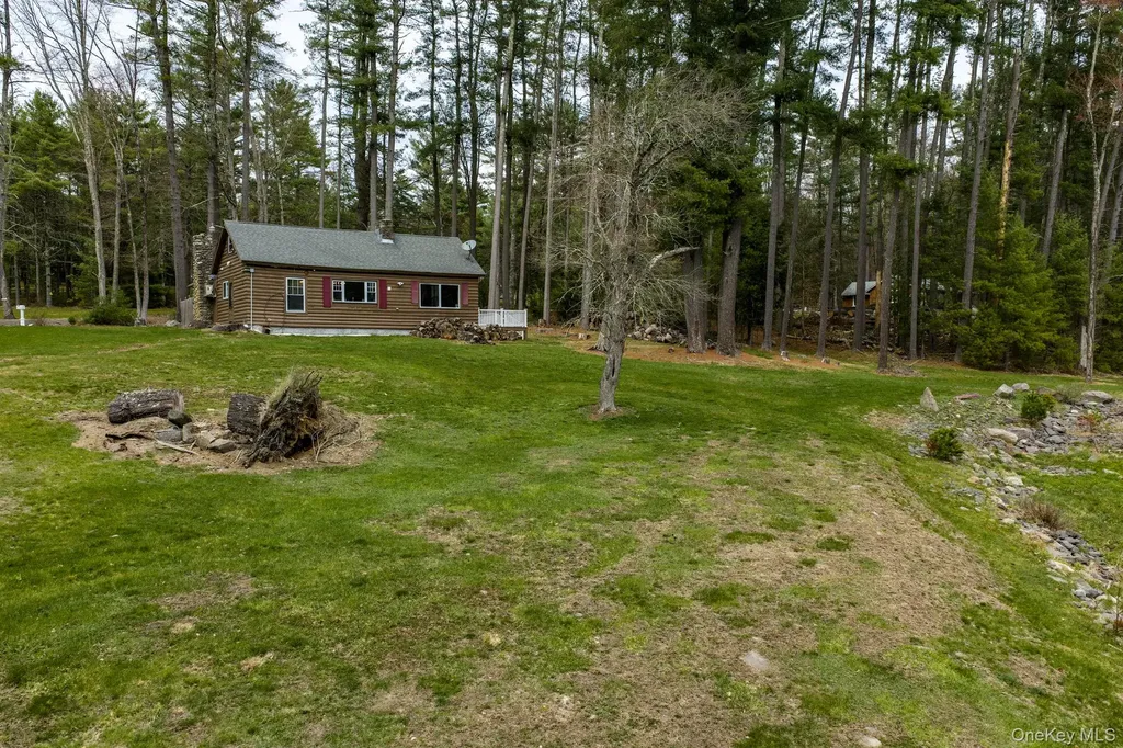 10 Stag Forest Road Forestburgh NY 12777